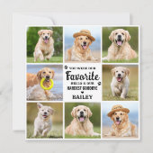 ペットロスカスタム8写真犬記念悔やみや弔慰 サンキューカード (正面)