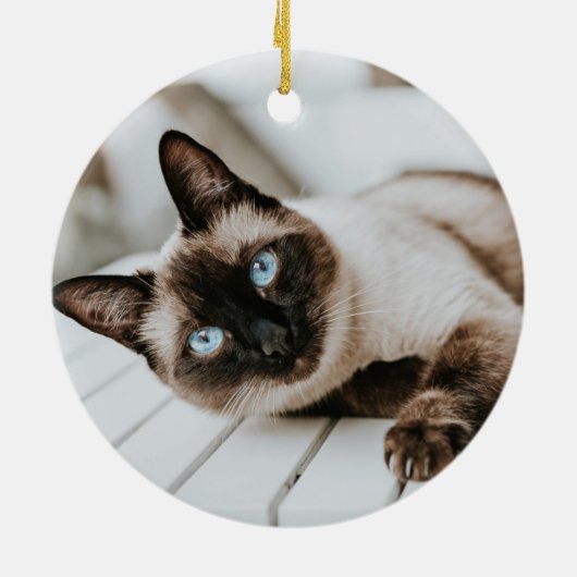 ペットロス悔やみや弔慰キャットメモリアルフォトキープサケラ セラミックオーナメント (裏面)