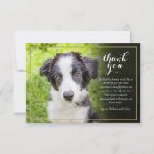 ペットロス悔やみや弔慰フォトスクリプト サンキューカード (正面)