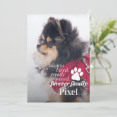 ペットロス記念悔やみや弔慰フォトカード シーズンカード (スタンド正面)