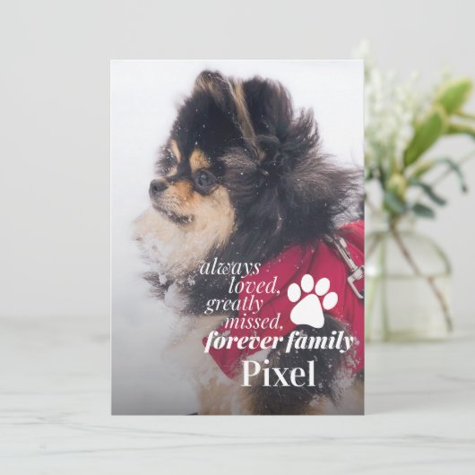 ペットロス記念悔やみや弔慰フォトカード シーズンカード (スタンド正面)