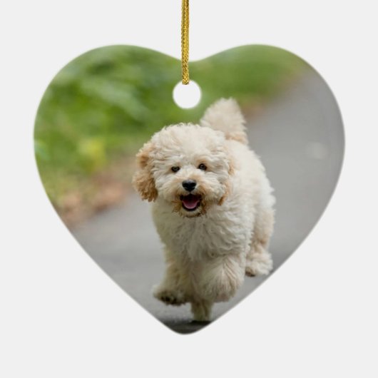 ペットロス記念碑 |個々のページ印刷 セラミックオーナメント