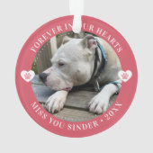 ペットロス記念記念記念記念モダン写真 オーナメント (裏面)