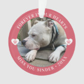 ペットロス記念記念記念記念モダン写真 オーナメント (正面)