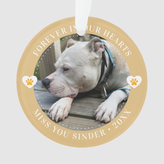 ペットロス記念記念記念記念モダン写真 オーナメント (正面)