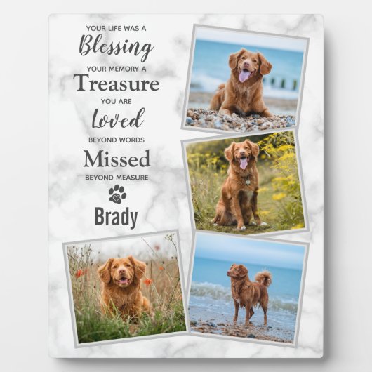 ペットロス記念遺品記念形跡犬記念碑 フォトプラーク (正面)