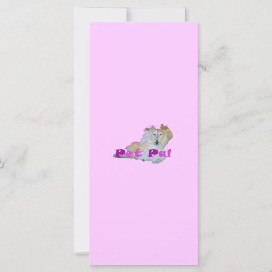 ペット仲間 (裏面)