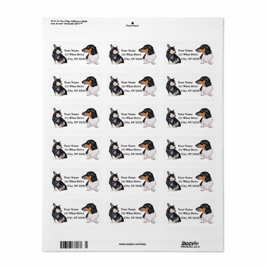 ペット住所 シール (フルシート)