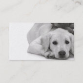 ペット供給かトリマーまたは等 名刺 (裏面)