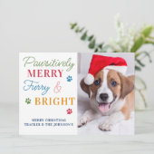 ペット写真おもしろい可愛い猫犬クリスマスシーズンのレビュー シーズンカード (スタンド正面)