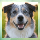 ペット写真のカスタマイズ追加 ウィンドウサイン (シート3)