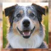 ペット写真のカスタマイズ追加 ウィンドウサイン (シート2)