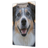 ペット写真のカスタマイズ追加 クリップボード (左)