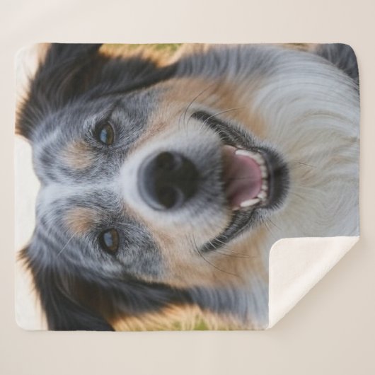 ペット写真のカスタマイズ追加 シェルパブランケット (正面(横))