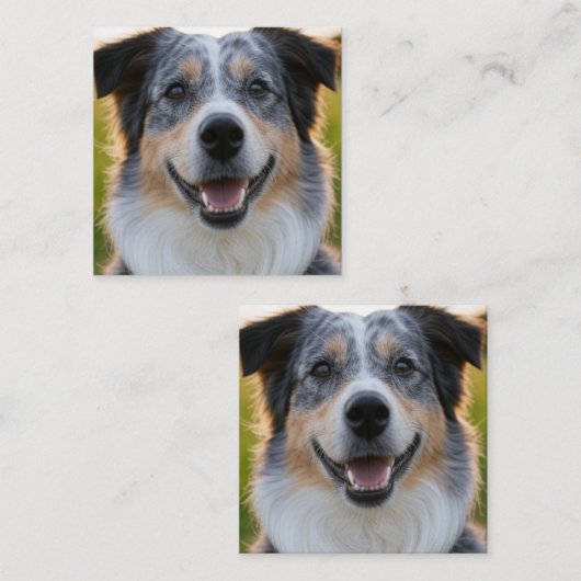 ペット写真のカスタマイズ追加 スクエア名刺 (正面/裏面)