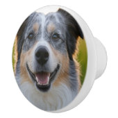 ペット写真のカスタマイズ追加 セラミックノブ (右)