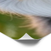 ペット写真のカスタマイズ追加 ポスター (コーナー)