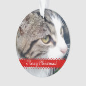 ペット写真のクリスマスのオーナメント|のアップロードあなたのイメージ オーナメント (正面)
