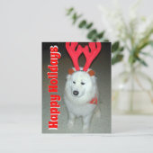 ペット写真のクリスマスを使う ポストカード (スタンド正面)