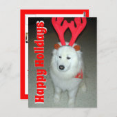 ペット写真のクリスマスを使う ポストカード (正面/裏面)