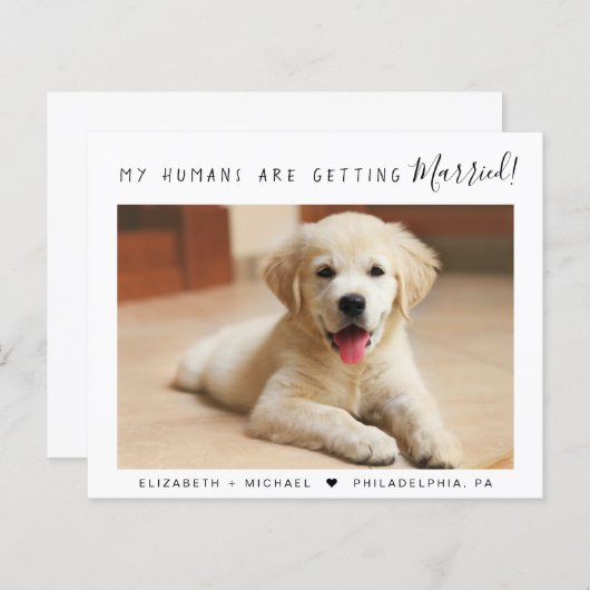 ペット写真の予算婚約発表 (正面/裏面)