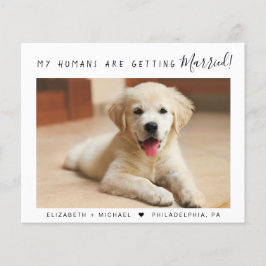 ペット写真の予算婚約発表