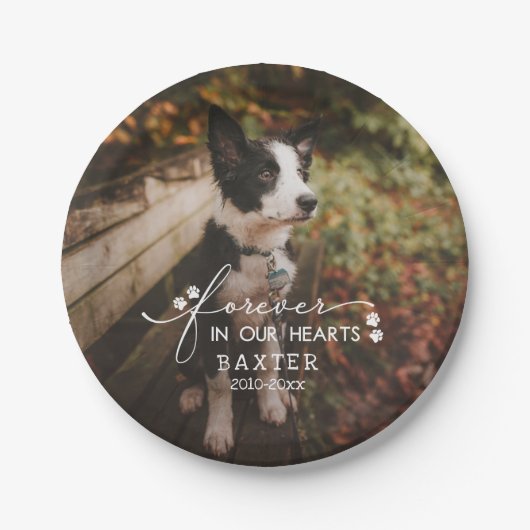 ペット写真の手の跡が永遠にハートに残る ペーパープレート (正面)