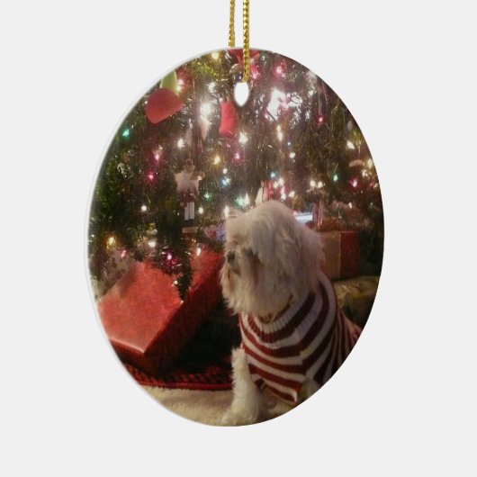 ペット写真または人のクリスマスツリーのオーナメントを加えて下さい セラミックオーナメント (右)