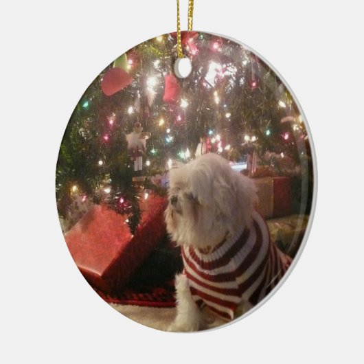 ペット写真または人のクリスマスツリーのオーナメントを加えて下さい セラミックオーナメント (左)