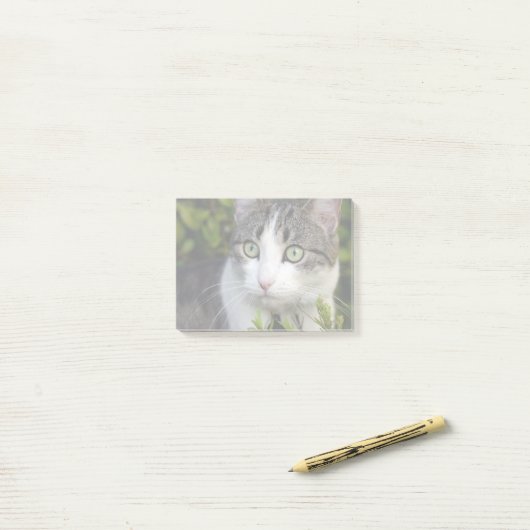 ペット写真ギフトパーソナライズされた投稿It Notes Cat ポストイット (デスク上)