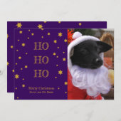 ペット写真クリスマスカーパーソナライズされたドあなたの写真 シーズンカード (正面/裏面)