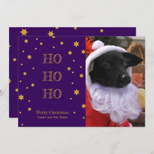 ペット写真クリスマスカーパーソナライズされたドあなたの写真 シーズンカード (正面/裏面)