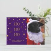 ペット写真クリスマスカーパーソナライズされたドあなたの写真 シーズンカード (スタンド正面)