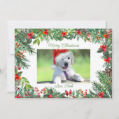 ペット写真クリスマスホリデーグリーティング シーズンカード (正面)