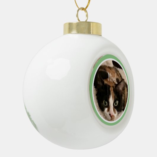 ペット写真テンプレートスノーフレークフレームオーナメント セラミックボールオーナメント (左)