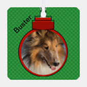 ペット写真テンプレートw名前クリスマスライトウェイトミー メタルオーナメント (正面)