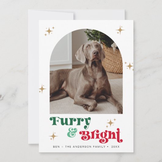 ペット写真ホリデーカードドッグクリスマスパピーファーリー シーズンカード (正面)