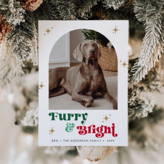 ペット写真ホリデーカードドッグクリスマスパピーファーリー シーズンカード