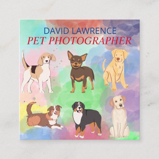 ペット写真家 – ペット写真撮影名刺 スクエア名刺 (正面)