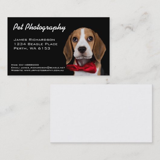 ペット写真撮影の名刺 名刺 (正面/裏面)