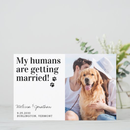 ペット写真結婚の犬は日付カードの予算を保存 (スタンド正面)