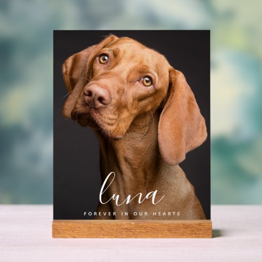 ペット写真記念献上品 アクリルサイン (ニュートラル)