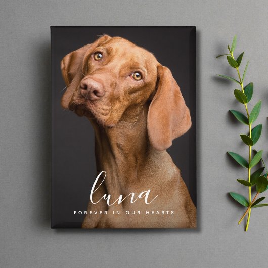 ペット写真追悼記念の献上品 缶バッジ