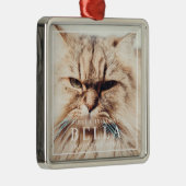 ペット初めてのクリスマスインフォーエバーホームフォトホリデイ メタルオーナメント (右)