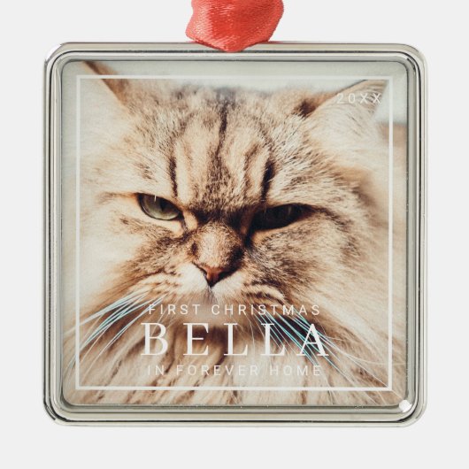 ペット初めてのクリスマスインフォーエバーホームフォトホリデイ メタルオーナメント (正面)