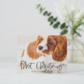 ペット初めてのクリスマスインフォーエバーホームフォト シーズンポストカード (スタンド正面)