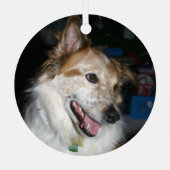 ペット初めてのクリスマスバッファロープレイド2写真名 メタルオーナメント (裏面)