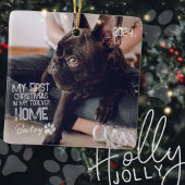 ペット初めてのクリスマスフォーエバーホームモダングランジ セラミックオーナメント