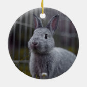 ペット初めてのクリスマス写真パーソナライズされた板 セラミックオーナメント (裏面)