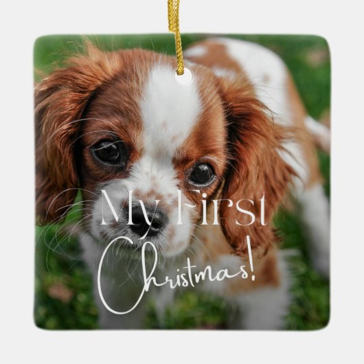 ペット初めてのクリスマス写真ミニマル書道 セラミックオーナメント (正面)
